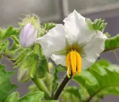 1619698595755.webp