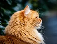3AA93AEA-C8C0-4AD5-B630-55908A722D0A.webp