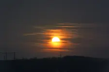 pink moon.webp