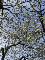 IMG_7843.webp