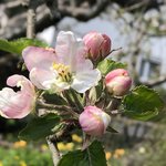 IMG_7916.JPG