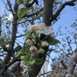 IMG_7918.JPG