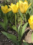 IMG_7859.JPG