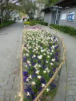 P1030322.JPG