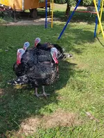 20200902_144448.webp