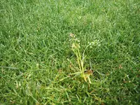 IMG_20210429_100154.webp