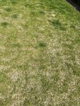 6E7E3921-BB91-4B17-B65A-24C84DF59258.jpeg