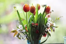 image005.webp