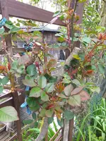 20210430_153915.webp