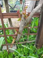 20210430_153821.webp