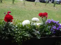 P1030441.webp
