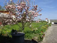 DSC01660.webp