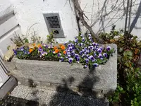 DSC01664.webp