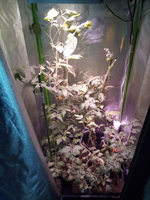 IMG_20210501_094012.webp
