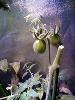 IMG_20210501_094055.webp