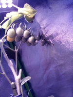 IMG_20210501_094043.webp