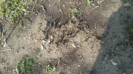 20210501_104125.webp
