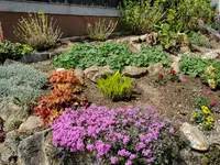 IMG_20210501_122308.webp
