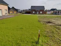 Westliche Grundstücksgrenze Blickrichtung Süden.webp