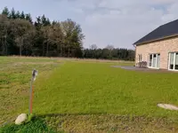 Westliche Grundstücksgrenze Blickrichtung Nord.webp