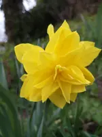 IMG_20210430_195034.webp