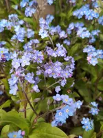 IMG_20210430_195153.webp