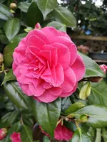 IMG_20210430_195110.webp