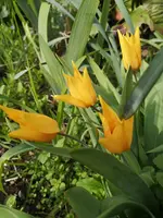 IMG_20210422_170537.webp