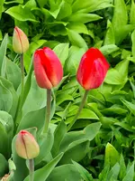 20210501_211025.webp