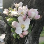 IMG_7961.JPG