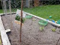 DSCN2906.webp