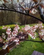 IMG_20210502_0742218-01.webp