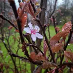 IMG_20210502_0747239-01.webp