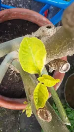 20210502_102418.webp 20210502_102418.webp