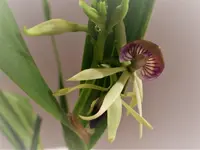 P1280145.webp