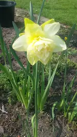 20210501_104408.webp