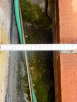 DSCN2939.webp DSCN2939.webp