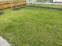 Foto 02.05.21, 14 11 18.webp