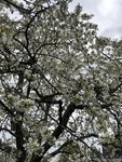 IMG_7973.JPG