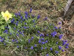IMG_7992.JPG
