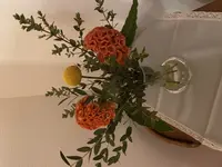 039F0643-1BDA-4F4D-9DCD-2A07902705E6.jpeg