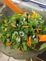 Salat3.webp