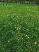 20210503_163338.webp
