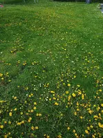 20210503_163401.webp