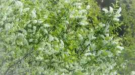 P1280164.webp