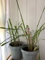 image.webp image.webp