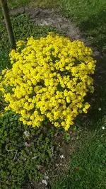 20210503_160755.webp