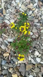 20210503_162813.webp