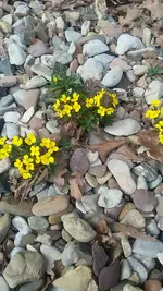 20210503_162759.webp