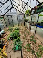 20210501_145319.webp 20210501_145319.webp